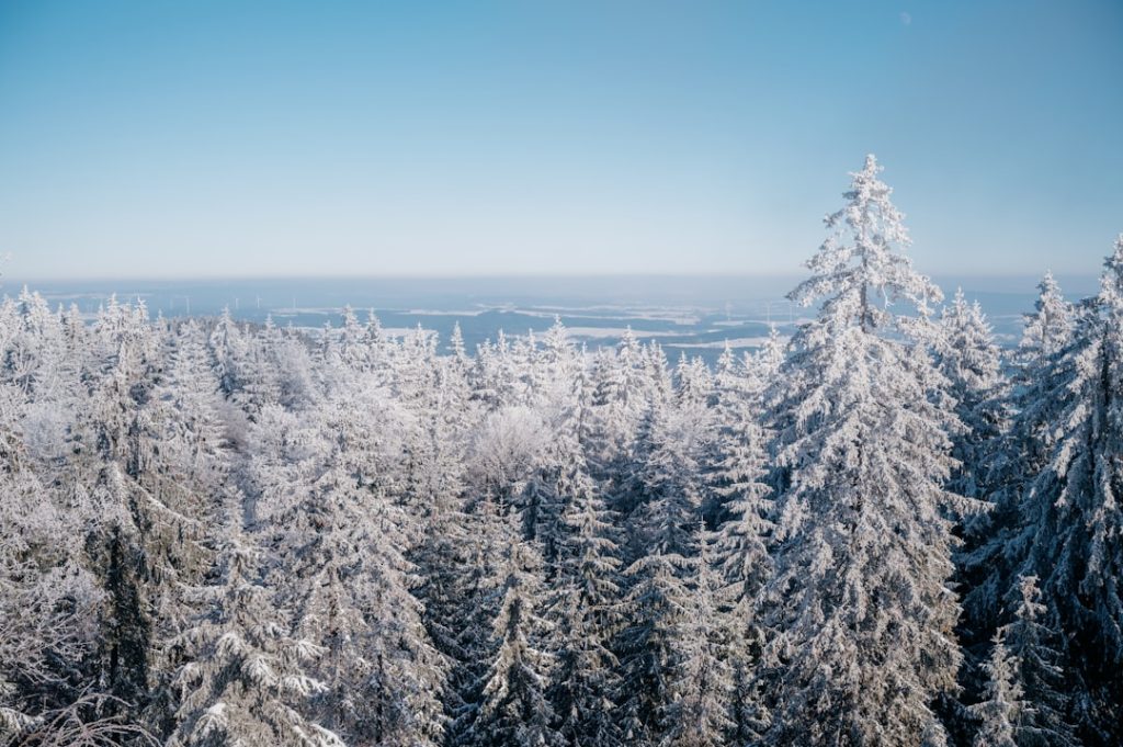 Natur a-view-of-snow-covered-trees-from-a-high-viewpoint-mtnruxsgydk