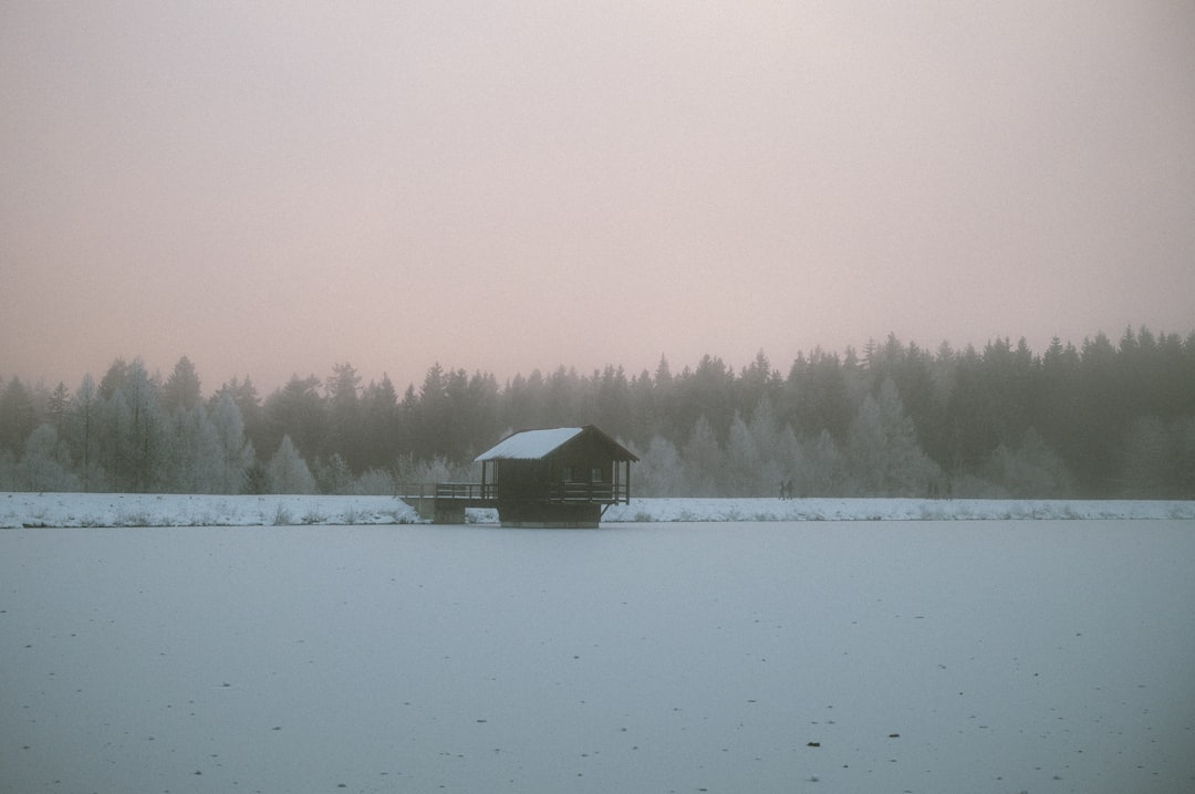 portfolio-02 a-barn-in-a-snowy-field-with-trees-in-the-background-jc-v7hzykiy